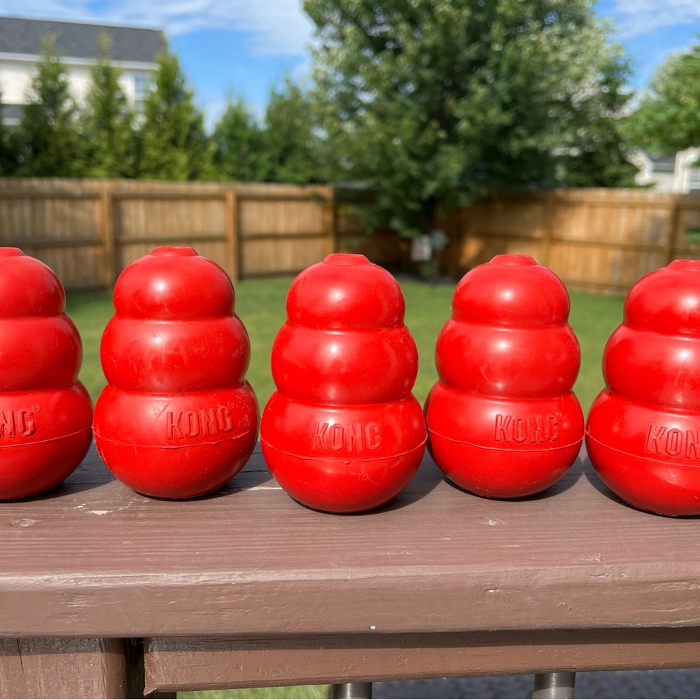 Lot of 5 Kongs